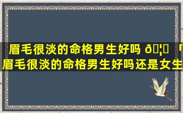 眉毛很淡的命格男生好吗 🦁 「眉毛很淡的命格男生好吗还是女生」